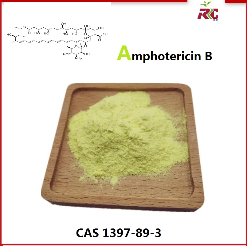 Pharmaceutical Chemical 1397-89-3 Amphotericin B in Stock
